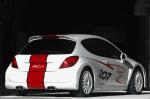 Peugeot 207 RCup 2006 года